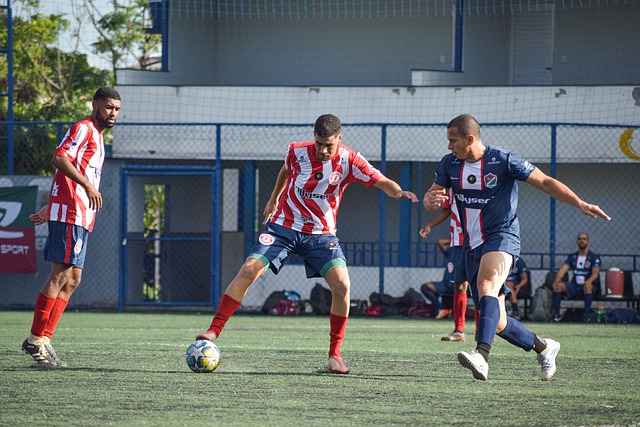 来发展指明 来发展指明