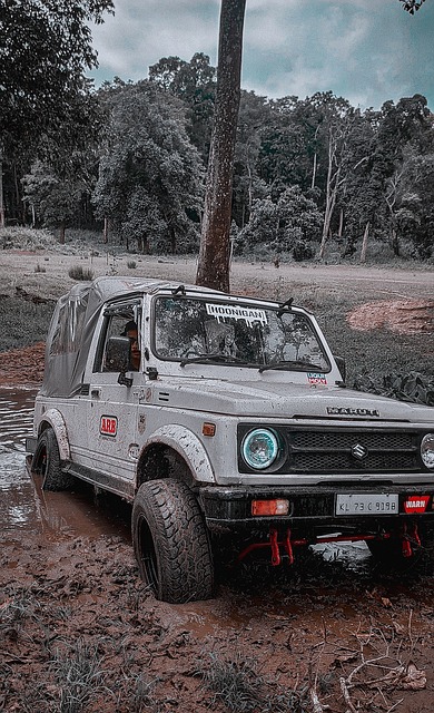 姆巴佩的梅 姆巴佩的梅