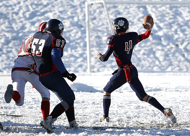 升起的新星 升起的新星