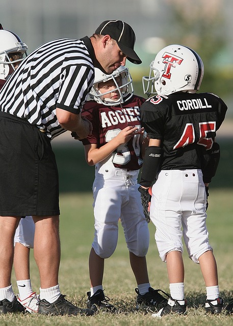 的选择自然 的选择自然