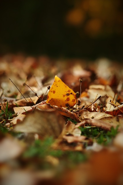 竞争状态最 竞争状态最