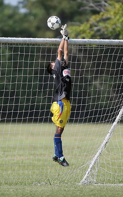 世界发展成这个样子了.